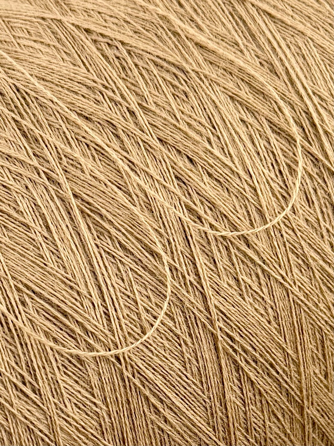 E. Miroglio Alice 2/28 gekämmtes Extra Fine Merinogarn Camel PZ8